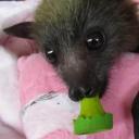 spacenoodle92 avatar