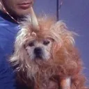 spaceoddity221 avatar