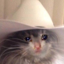 spacepeach123 avatar