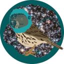 spacepipit avatar