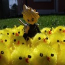 spaceroad-1979 avatar