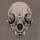 spaceseaglassandscythes avatar