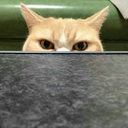 spacestationn avatar