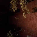 spacestationsasquatch avatar