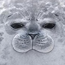 spacewasteland avatar