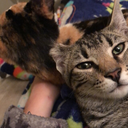 spacewhalewhisperer avatar