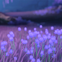 spacey-sprout avatar