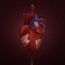 spaceyaceylesbianart avatar