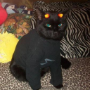 spaceypumpkin413 avatar