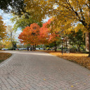 spaceyspaceysarah avatar