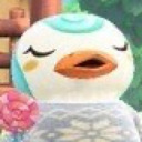 spacious-infinity avatar