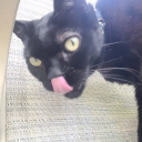 spades-system avatar