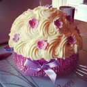 spaghetti-cakes-blog avatar