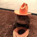 spaghetti-girl-main avatar