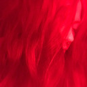 spaghetti-spacegoth avatar