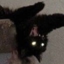 spaghetticat3899 avatar