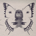 spaghettidimension avatar