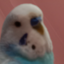 spaghettieeee avatar