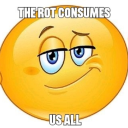 spaghettiforpapy avatar