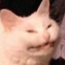 spaghettifromthevoid avatar