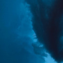 spaghettinewt avatar