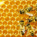 spamthonyshmmblamthony avatar