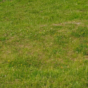 spandexlambtube avatar