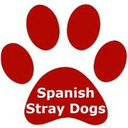 spanishstraydogs avatar