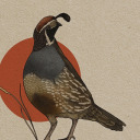 spankedquail avatar