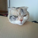 spankmiffy-blog avatar