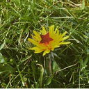 spare-me-a-spoon avatar