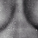 sparkelingmind avatar