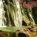 sparkleee-sprinkle avatar