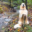 sparklegrime2 avatar