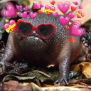 sparklemurderer avatar