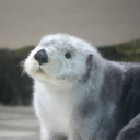 sparkleselkie avatar