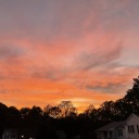 sparklyfrenchhorn avatar