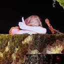 sparklyruinskryptonite avatar