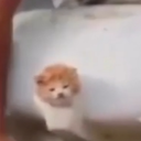 sparklytaleking avatar