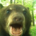 sparrow-feath3rs avatar