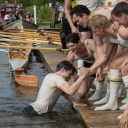 sparrow-in-the-field avatar