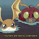 sparrowinflyte avatar