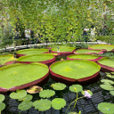 sparsh-may2012-oct2014-archive avatar