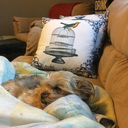 spartazia-blog avatar