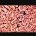 speakerphonesoul avatar