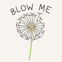 speaksoftmoanlouder avatar