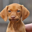 specialcuriosity avatar