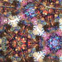 species-euphoria-culture-is avatar