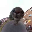 specificoceannnnnn avatar