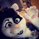speckcat avatar